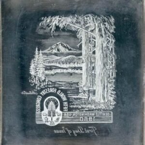 US Artmaster Scott 1156 1960 5th World Forestry Congress - Plate