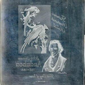 US Artmaster Scott 1241 1963 John J. Audubon, Columbia Jays - Plate