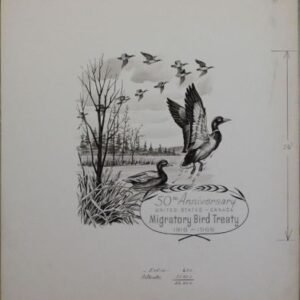 US Artmaster Scott 1306 1966 Migratory Birds, Canada-U.S. Border - Artwork