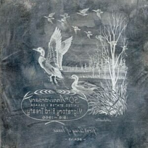 US Artmaster Scott 1306 1966 Migratory Birds, Canada - U.S. Border - Plate