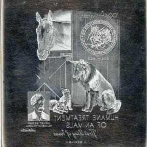 US Artmaster Scott 1307 1966 Humane Treatment of Animals, Dog - Plate