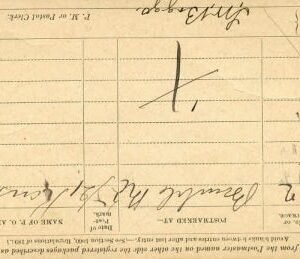 US 1895 Big Bug Arizona Cancel