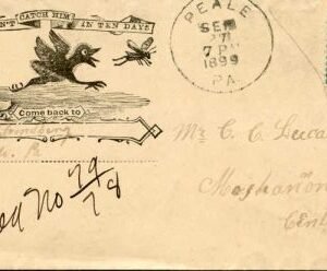 US 1899 Insect illustration on Cover