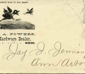 US 1900 Insect illustration on Cover