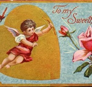 US 1909 Valentine PC with Butterfly