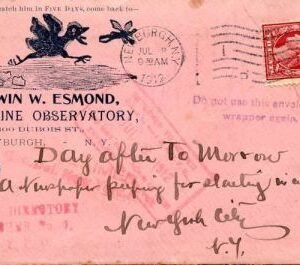 US 1912 Insect illustration on pink cover
