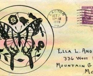 US 1939 Butterfly Hand painted cover