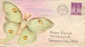 US 1941 Butterfly Hand drawn on Cover