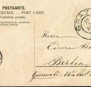 Austria 1905 PC with Insect and flowers