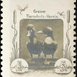 Austria 1900 Insect Photo label