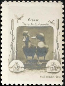 Austria 1900 Insect Photo label