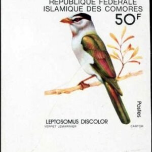 Comoro Islands 1979 426 - 428 NH Imperfs singles birds