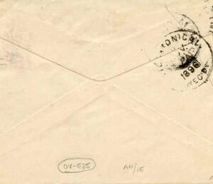 US Hawaii 1896 57 pair, Commercial cover