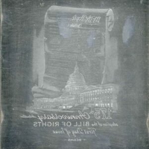 US Artmaster Scott 1312 1966 Bill of Rights - Plate