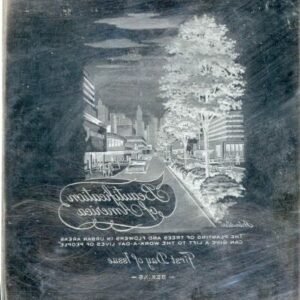 US Artmaster Scott 1318 1966 Beautification of America, Jefferson Memorial - Plate