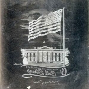 US Artmaster Scott 1338 1968 - 71 6c Flag, Coil - Plate