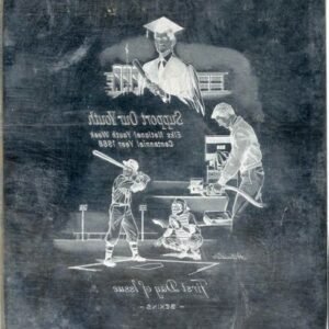 US Artmaster Scott 1342 1968 Support Our Youth - Plate