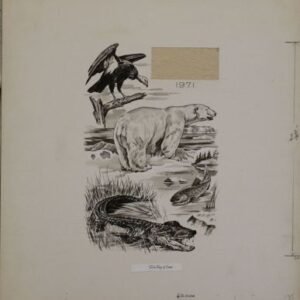 US Artmaster Scott 1427 - 30 1971 Wildlife Conservation - Artwork