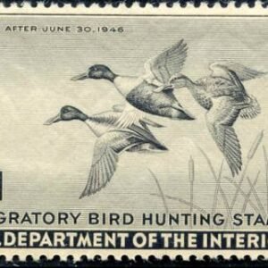 US RW12 Duck Stamp XF - Superb NH Sheet of 28