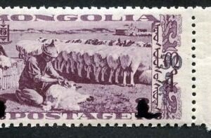 Mongolia 74F 30M on 3t black sheep sheering