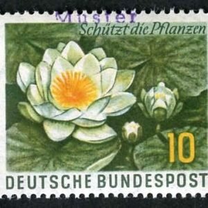 Germany 1957 773 Specimen Ovpt -  Water Lily