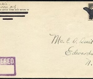 US New York, Talcville 623 Fancy Cancel Cover, Polar Bear