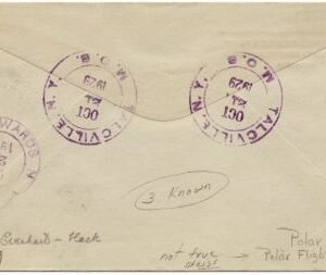 US New York, Talcville 623 Fancy Cancel Cover, Polar Bear