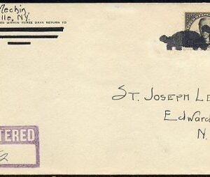 US New York, Talcville 623 Fancy Cancel Cover, Turtles