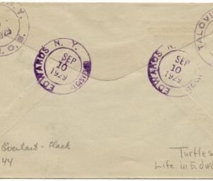 US New York, Talcville 623 Fancy Cancel Cover, Turtles