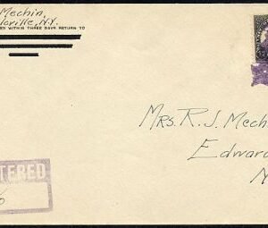 US New York, Talcville 623 Fancy Cancel Cover, Tree