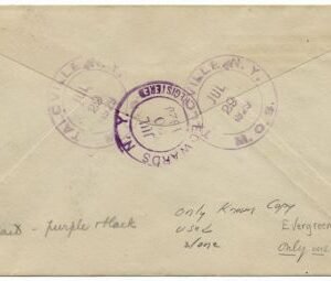 US New York, Talcville 623 Fancy Cancel Cover, Tree