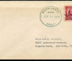 US Illinois, White Heath 690 Fancy Cancel Cover, Star