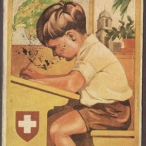 Switzerland 1930 Dortmund Flight S.77A