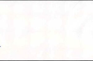 US U619b 1989 VF+ legal size