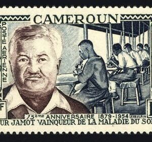 Cameroun C33 NH Insect