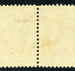 Bosnia and Herzegovina 19 VF LH Pair, PF Cert., Michel 18