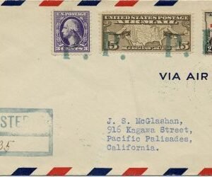 US Illinois, Palos Park 529, 702, C8 Fancy Cancel Cover