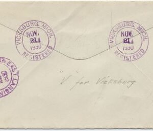 US Michigan, Vicksbury 640, 641 Fancy Cancel Cover