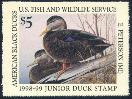 INV-13167itExt_00657429-3072-4121-a890-31565fa4846a US JDS6 Duck Stamp VF NH 1998 Junior Duck Stamp online retail $825.00 cv $500.00