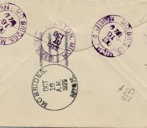 US Michigan, McBrides 638, 692 Fancy Cancel Cover, Cross