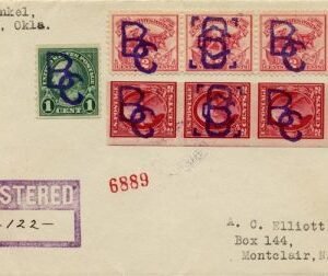 US New York, Braisie 09, 597, 629 Fancy Cancel Cover