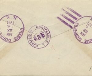 US New York, Braisie 09, 597, 629 Fancy Cancel Cover