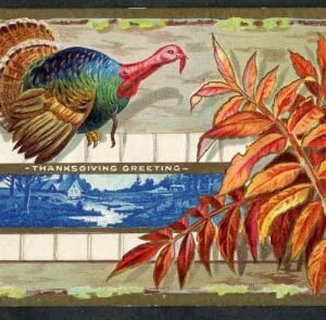 US 352 Washington / Franklins Used F - VF PFC on PPC No 30 1911 cv 350.00