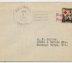 US Idaho, Squirrel 702 Fancy Cancel Cover, New Year
