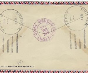 US Alaska, Chicken 490, 642, C11 Fancy Cancel Cover