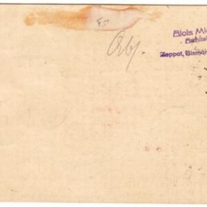 Danzig 1931 Zeppelin Polar Flight Card to Ship Leningrad