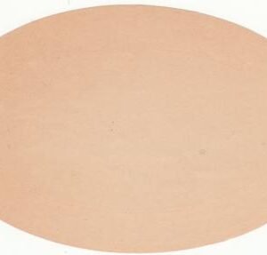 Germany 1935 VF Baggage Label for Do-X