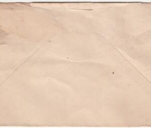 US Louisiana, Red Fish 737 Fancy Cancel Cover