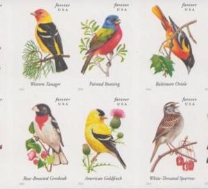 US 4882-91c Modern Imperf Songbirds(10) Pane of 10