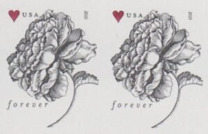 US 4959a Modern Imperf 49¢ Roses Pair